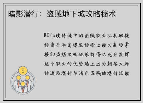 暗影潜行：盗贼地下城攻略秘术